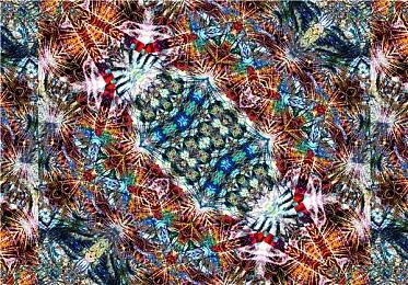 历史文件曝光大金刚潜在命名 差点改名叫Kong Dong